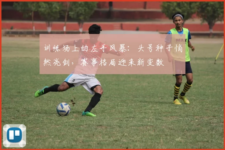训练场上的左手风暴：头号种子悄然亮剑，赛事格局迎来新变数
