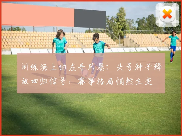 训练场上的左手风暴：头号种子释放回归信号，赛事格局悄然生变
