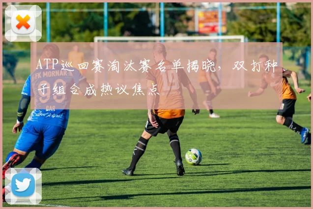 ATP巡回赛淘汰赛名单揭晓，双打种子组合成热议焦点