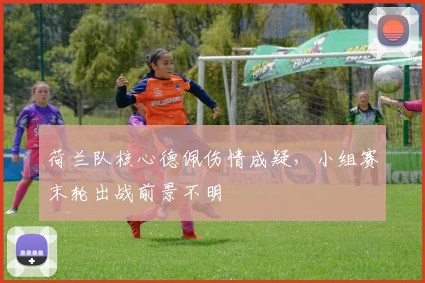 荷兰队核心德佩伤情成疑，小组赛末轮出战前景不明