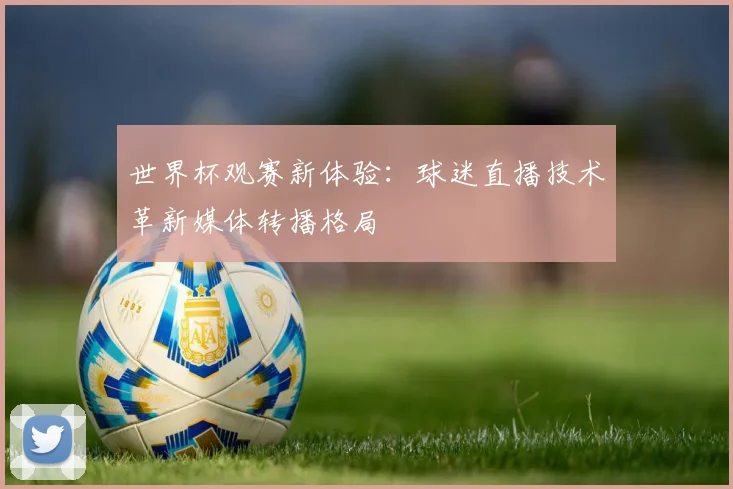 世界杯观赛新体验：球迷直播技术革新媒体转播格局